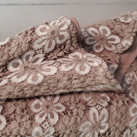 Pinky Lace Dress with Keyhole Back - Picture 7 of 7